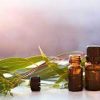 Vitamins and Supplements: 12 Eucalyptus oil Benefits and Uses