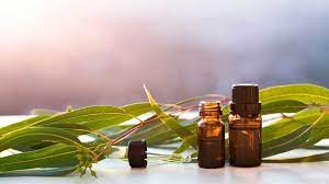 Vitamins and Supplements: 12 Eucalyptus oil Benefits and Uses